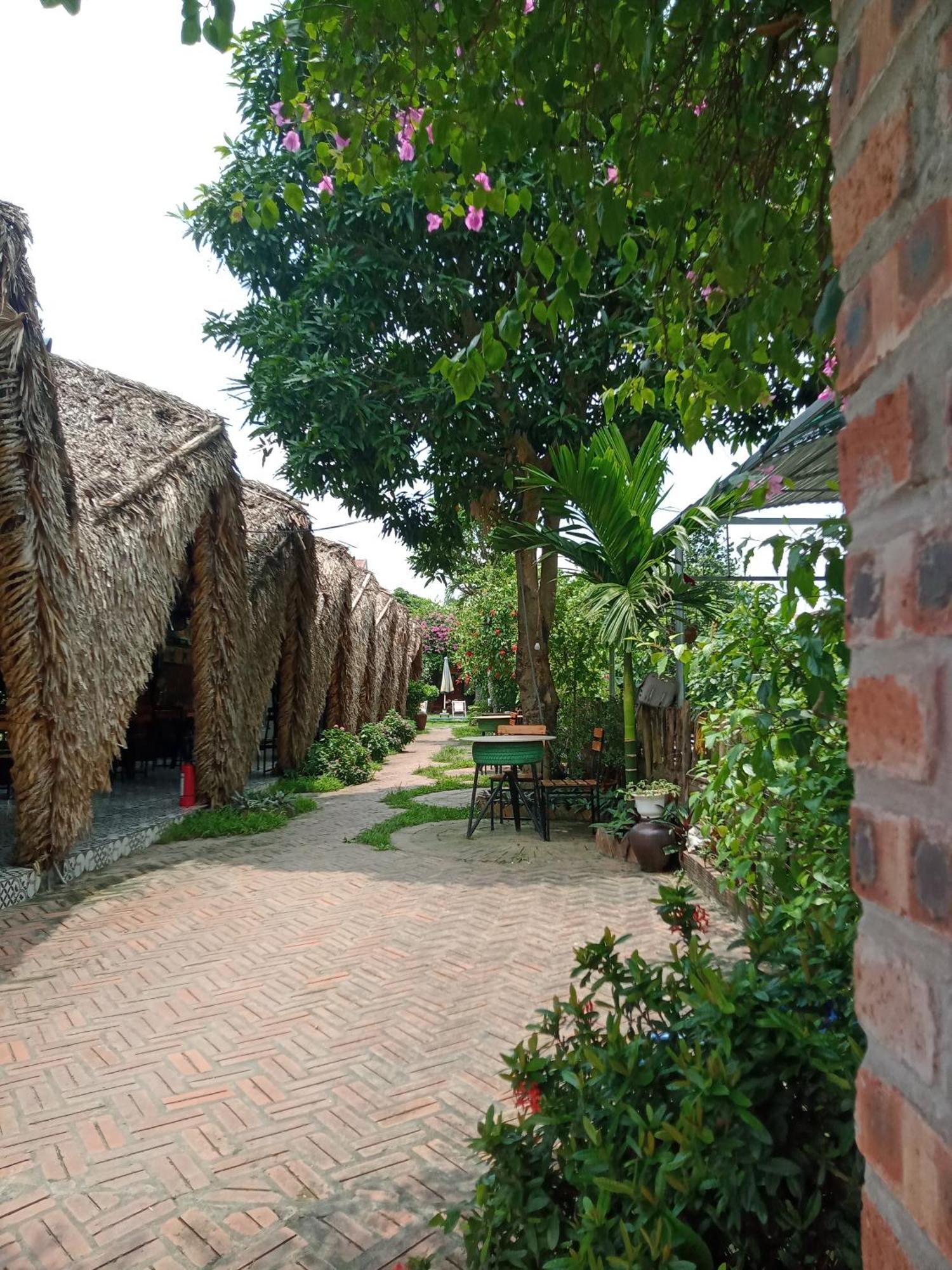 Tam Coc Village Bungalow Ninh Binh Eksteriør billede