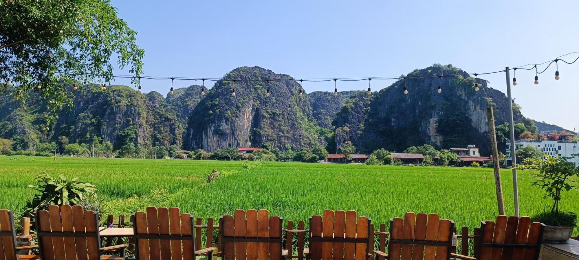 Tam Coc Village Bungalow Ninh Binh Eksteriør billede