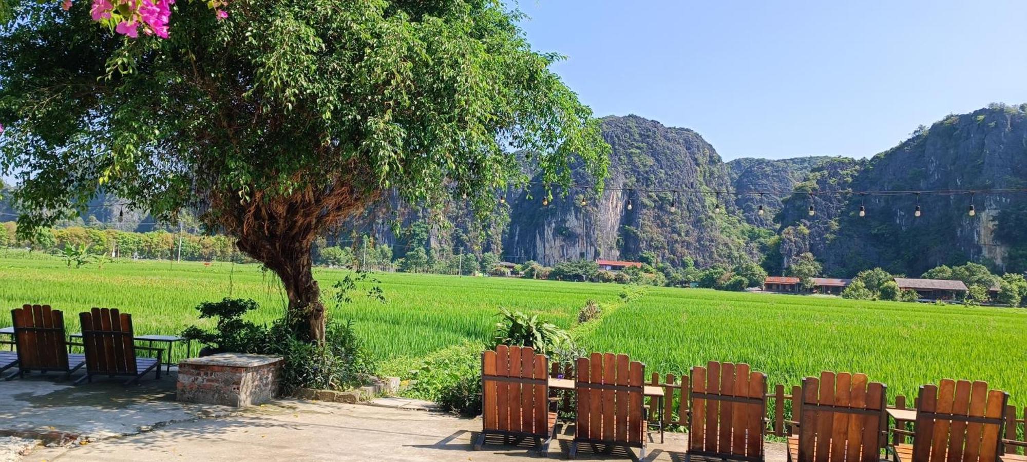 Tam Coc Village Bungalow Ninh Binh Eksteriør billede